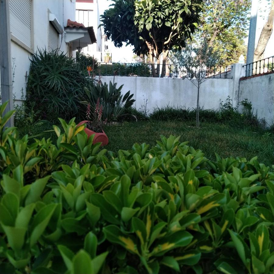 Tomarhousing - Garden Apartment Luaran gambar